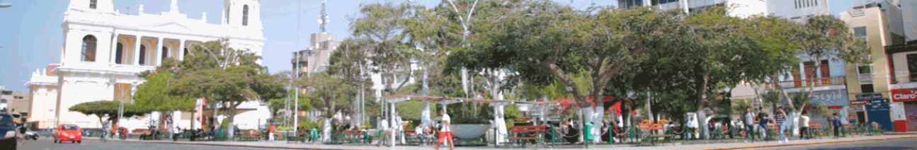 Lambayeque - Salas - Humedades Alto 