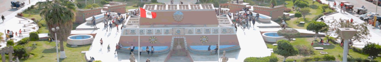 Lambayeque - Salas - Humedades Alto 